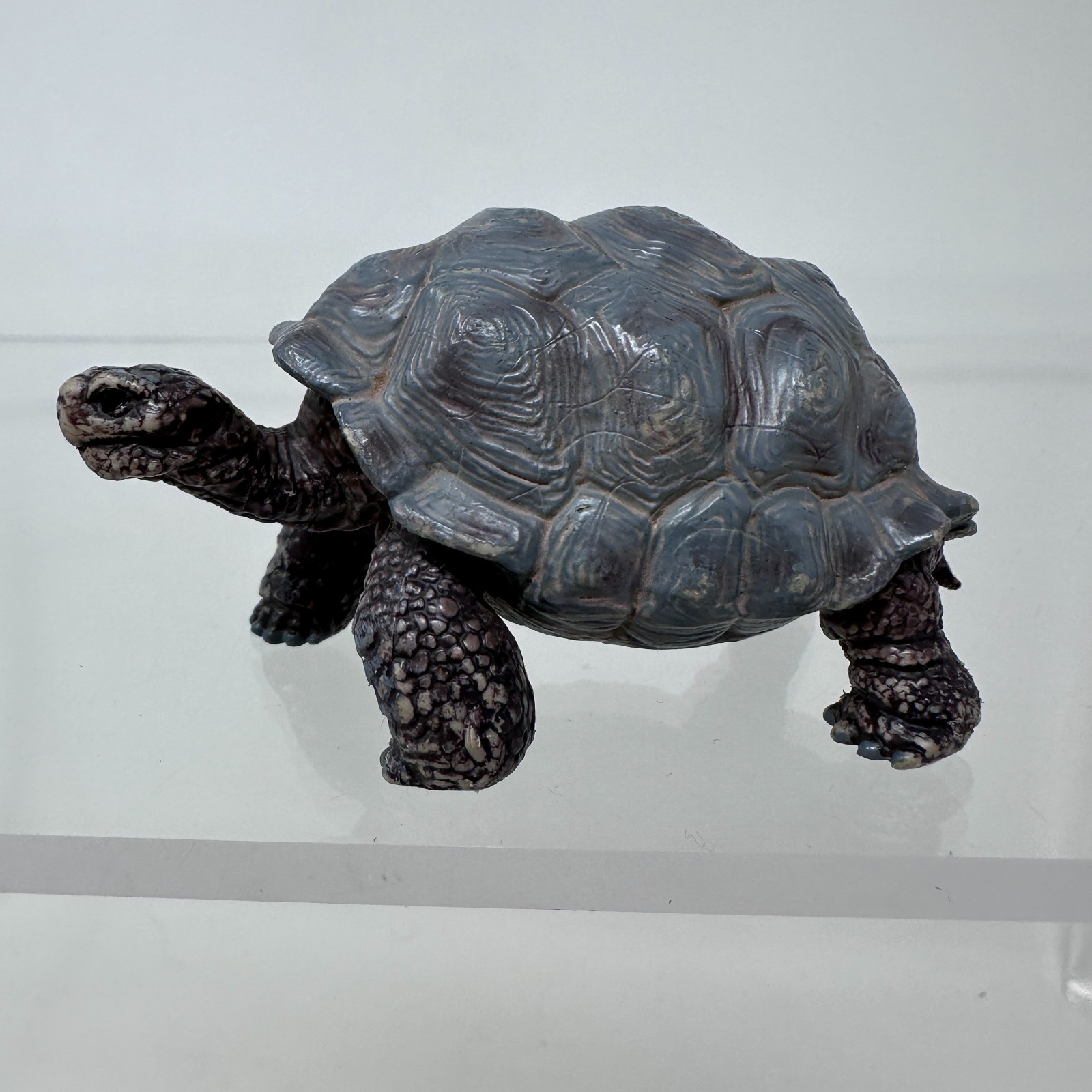 Schleich Tortoise Figure Gray Land Turtle Wildlife Zoo Safari Animal Figurine 3″