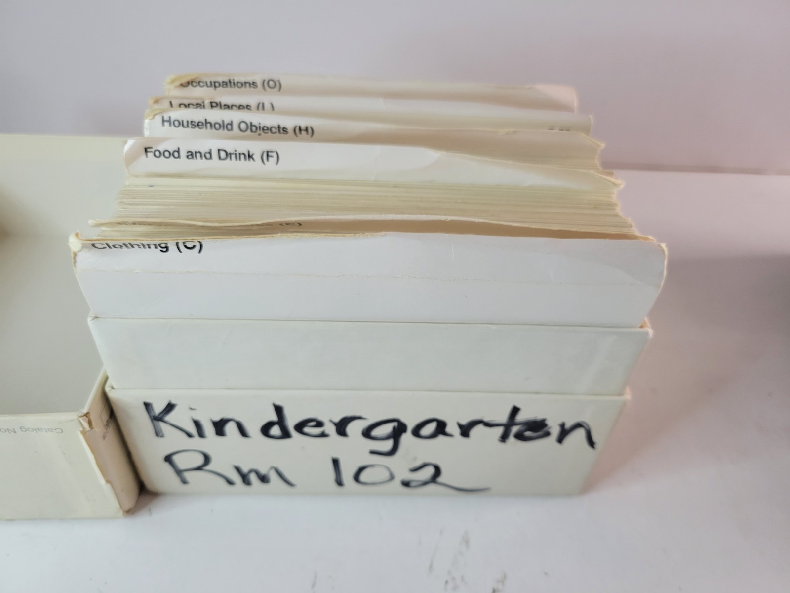 Photo Cue Cards 300 Full Color Language Practice Communication Skill Builders