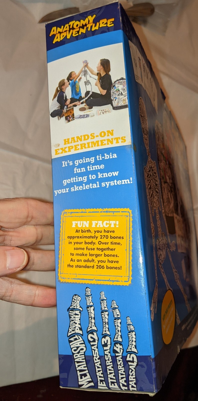 NIB Dr Bonyfide’s Anatomy Adventure Bone Box Bazaar Tillywig BRAIN CHILD Award!