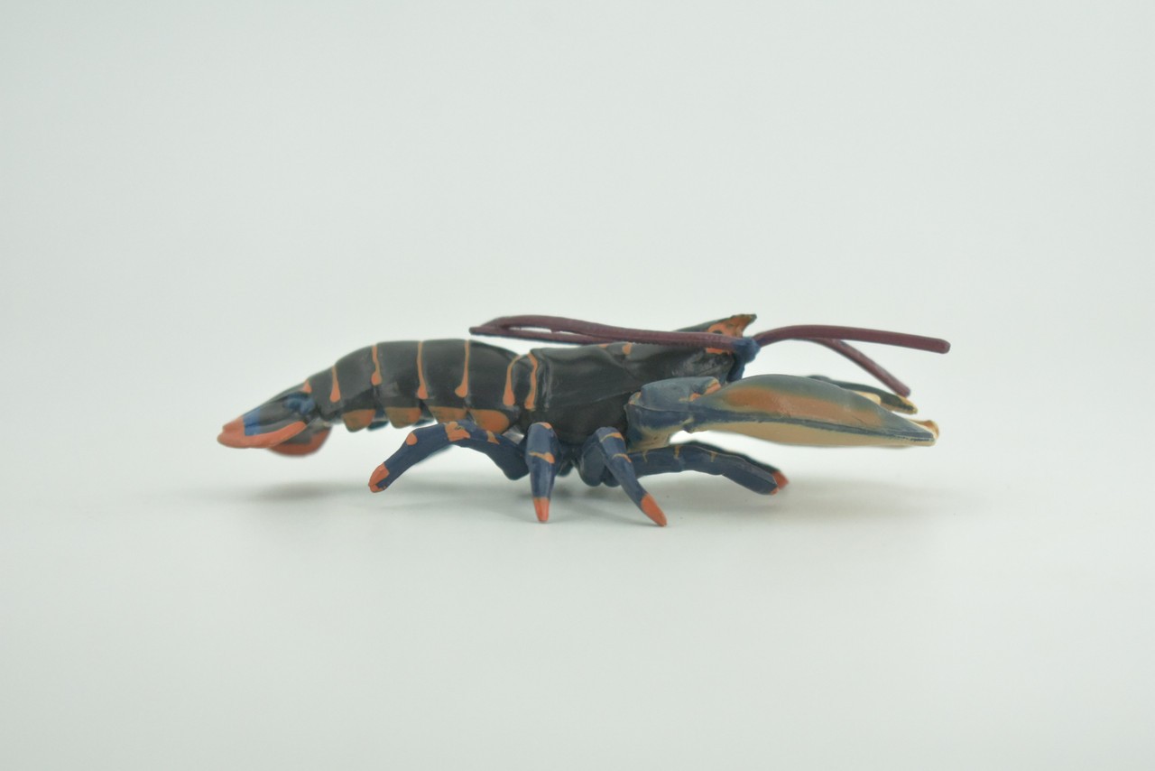 Boston Lobster Toy Museum Quality Rubber Hand Painted Gift, 4 Inches CH1002BB218