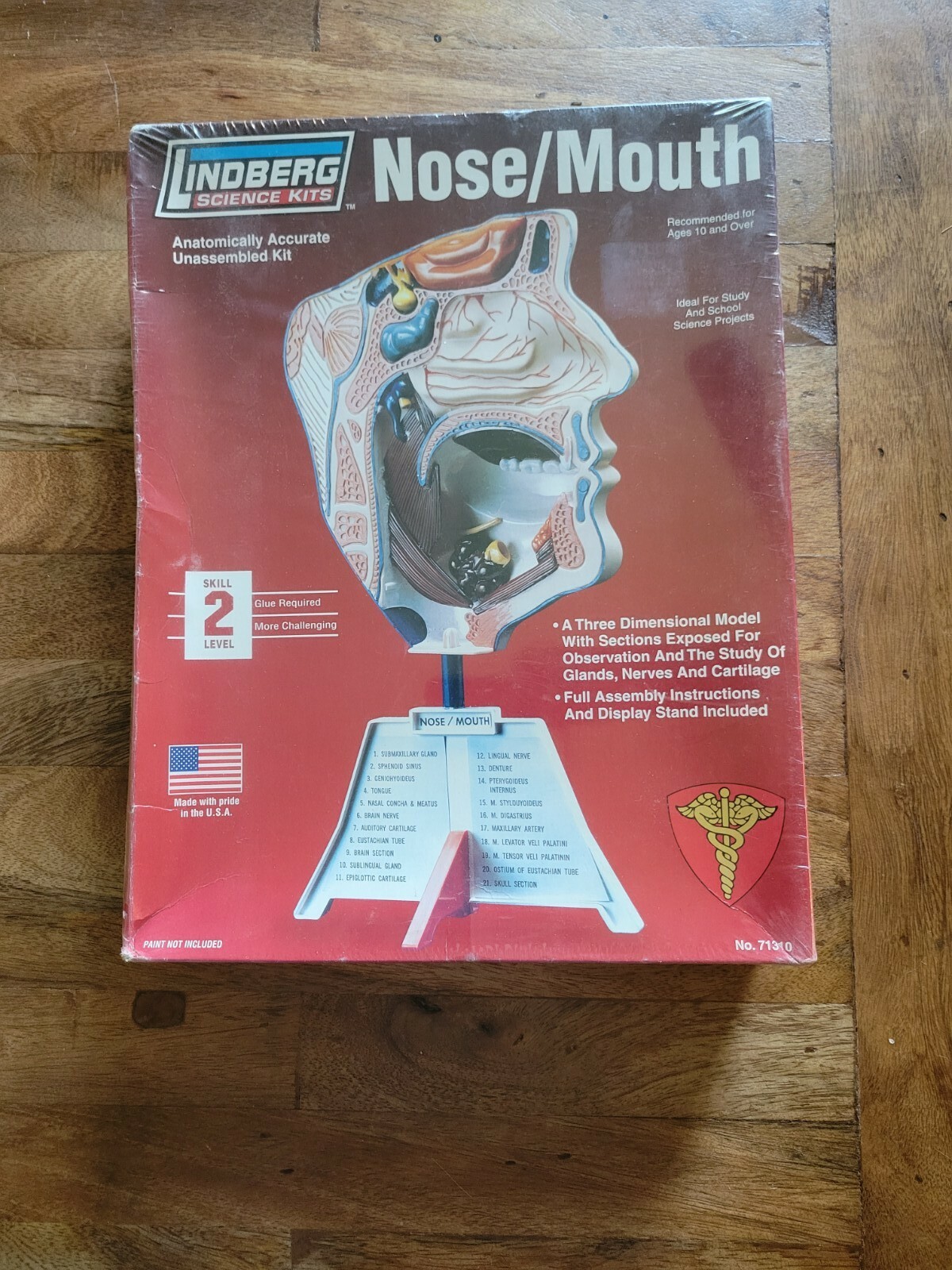 Lindberg Science Kits: Nose/Mouth Skill Level 2 New Unassembled Healthcare Model