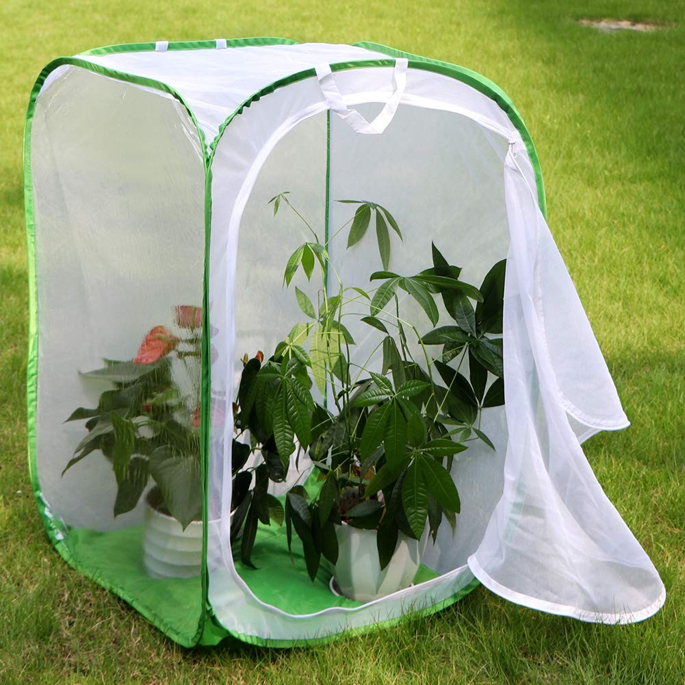 RESTCLOUD 36″ Large Monarch Butterfly 24 x 24 x 36 inches, White with Green