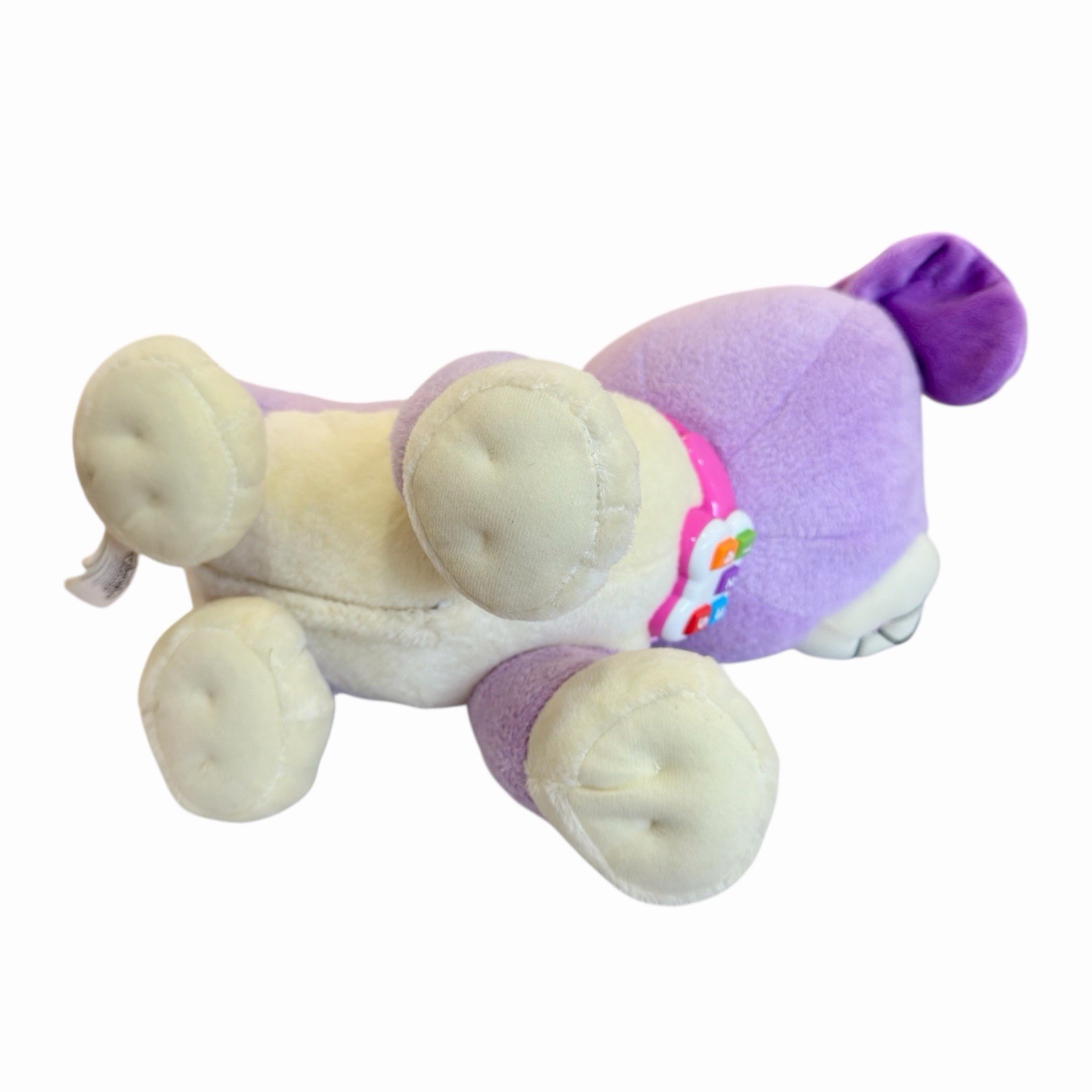 LeapFrog Violet Read With Me Interactive Plush Dog Tested Works EUC!! RARE!