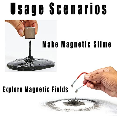 DAILYLIFE Iron Filings 1 LB Bulk Powder with 4 Magnets for Science Experiments