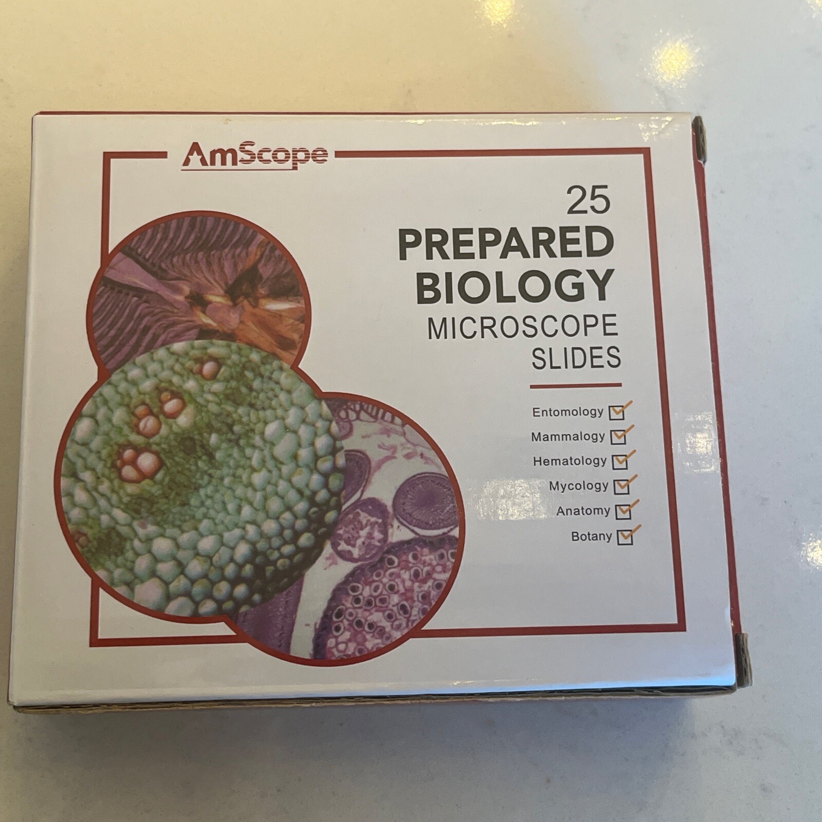 AmScope 25 Prepared Biology Microscope Glass Slides in Wooden Box B49/158