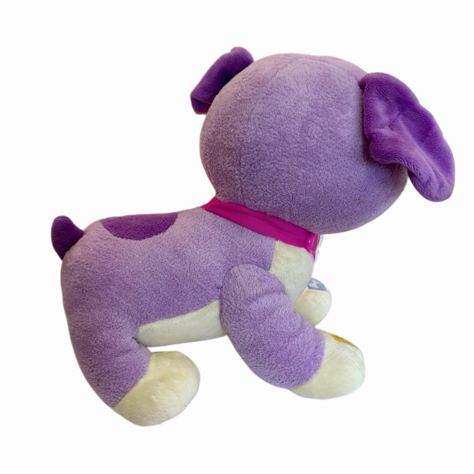 LeapFrog Violet Read With Me Interactive Plush Dog Tested Works EUC!! RARE!