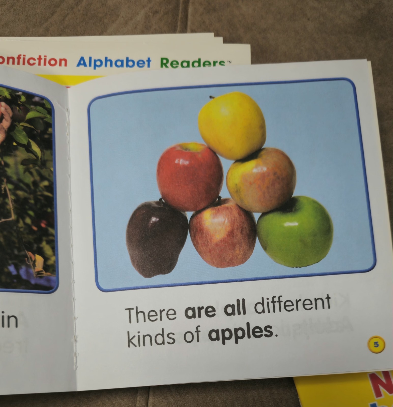 Scholastic Nonfiction Alphabet Readers Box Set Ages 3-6 Activity Book