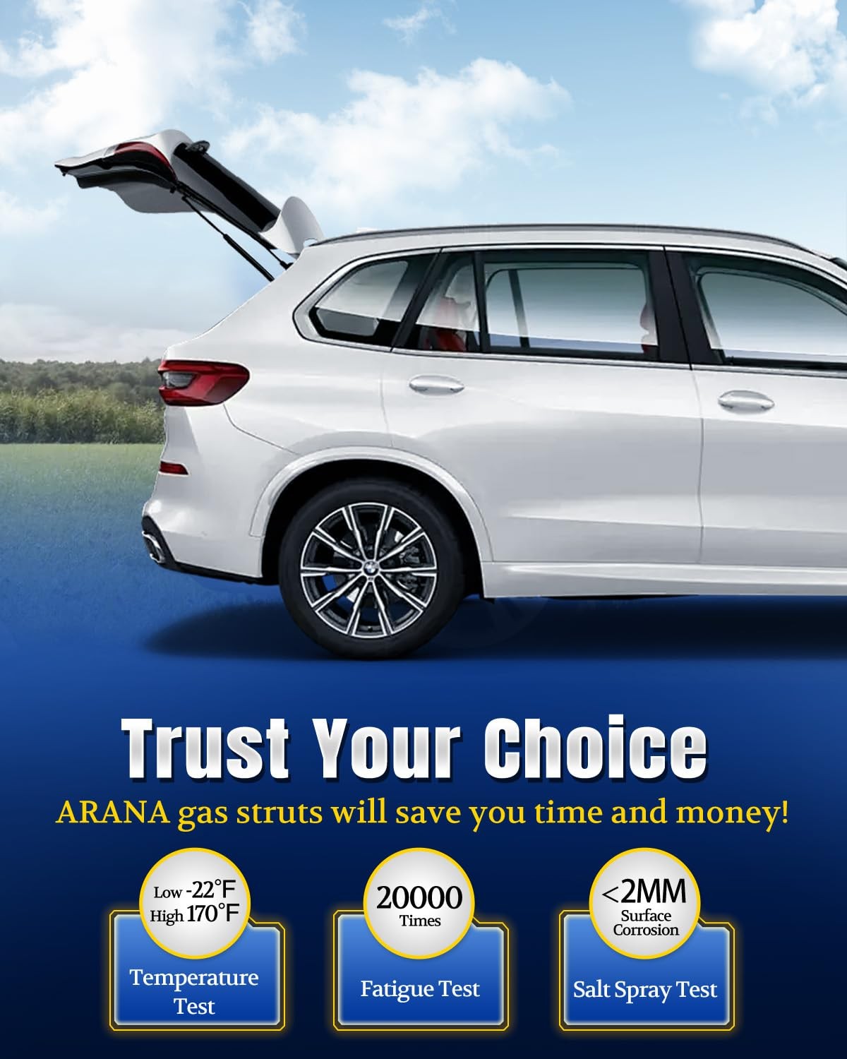 ARANA Premium Rear Hatch Liftgate Struts for 2010-2015 Lexus RX350 Black