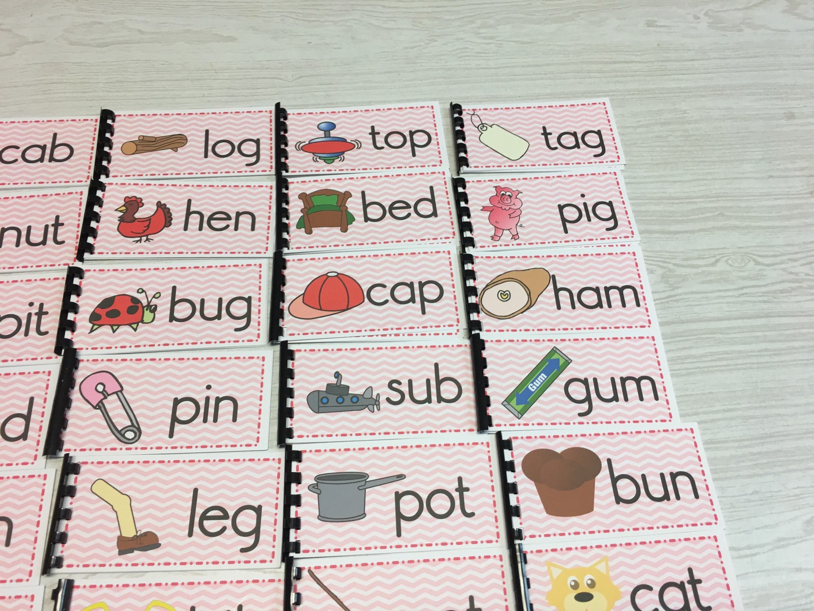 NEW Montessori Materials -The Pink Series – 24 CVC Word Families Booklets Pre-K