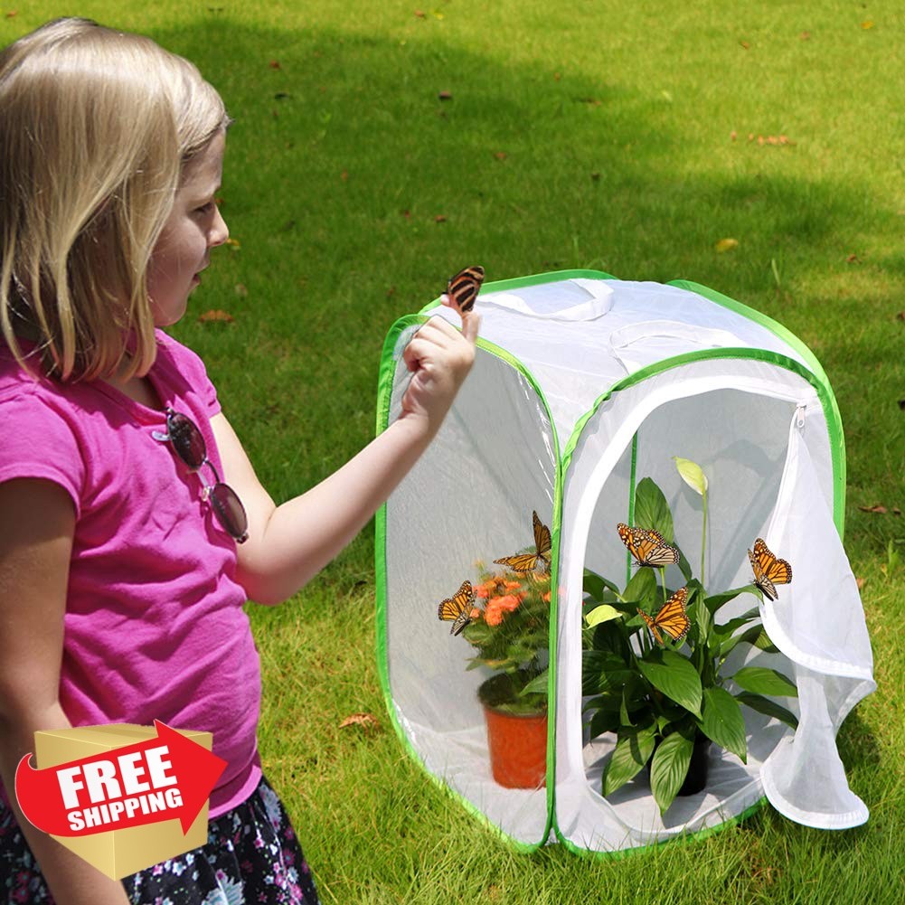 RESTCLOUD Green Butterfly Insect Habitat Cage 15.7×23.6″