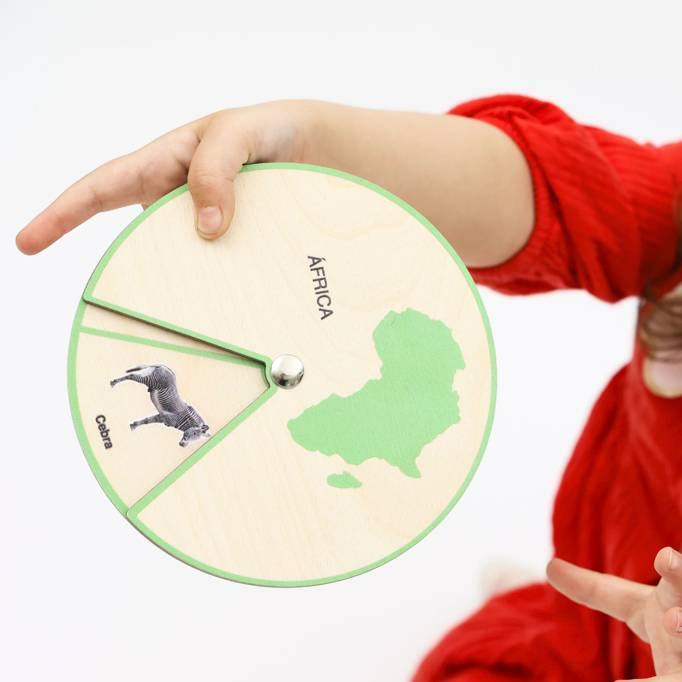 Animals of the World – Montessori Wooden Animal Wheels Set 7 Continents Ages 3+