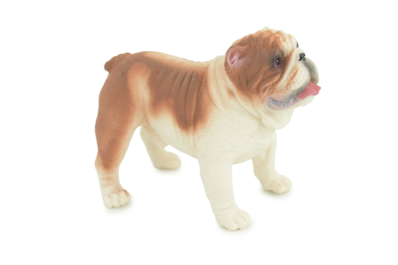 English Bulldog Toy, Realistic Hand Painted Rubber Model, 5 Inches CH844 BB197