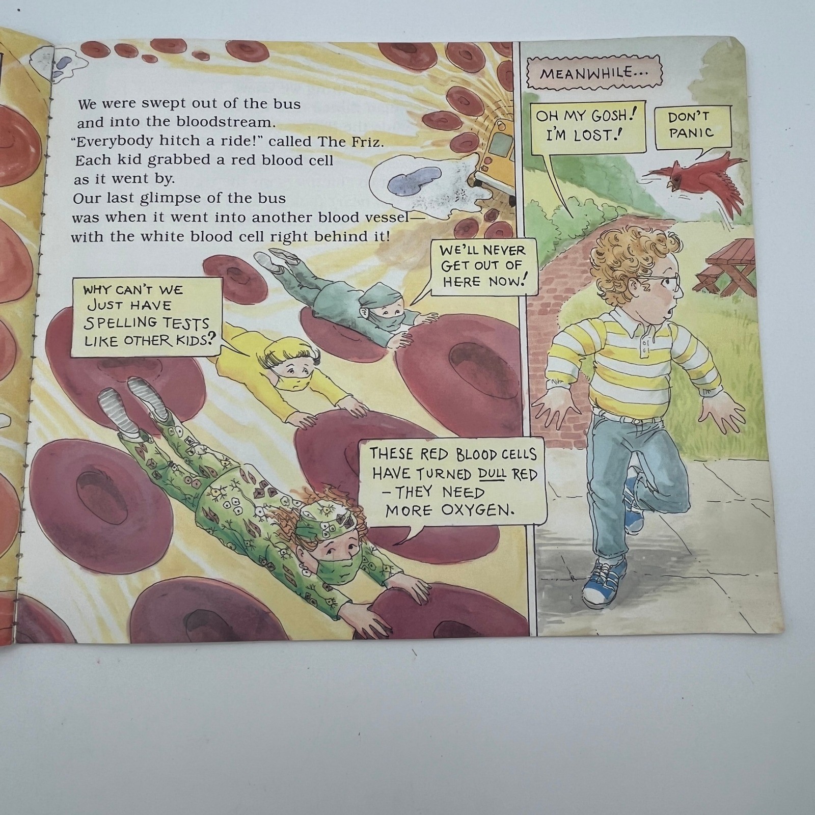 The Magic School Bus Inside the Human Body Joanna Cole Scholastic 1989 Paperback