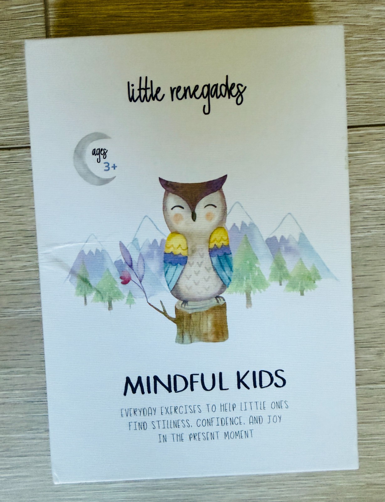 Little Renegades Mindful Kids Cards Ages 3+ Daily Exercises of Mindfulness New