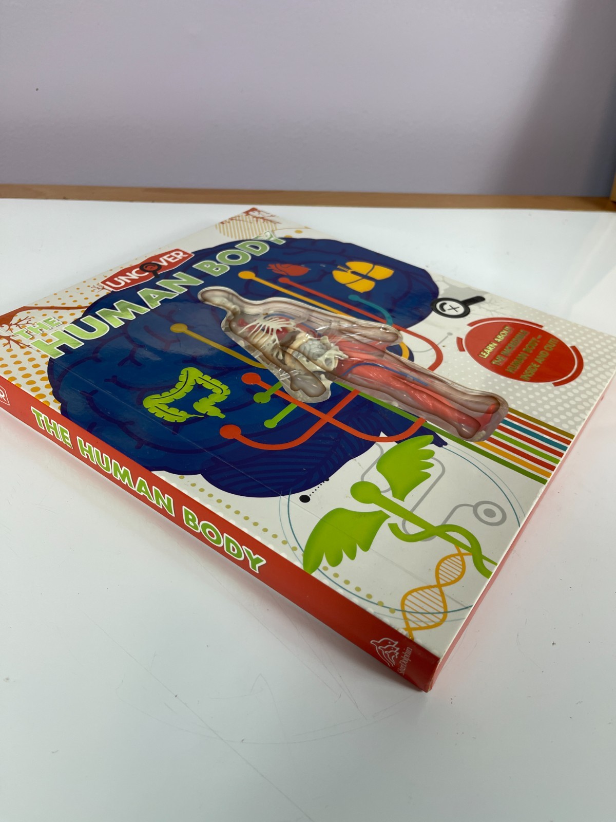 Uncover Human Body Book 3D Model 2020 STEM Anatomy Kids Educational
