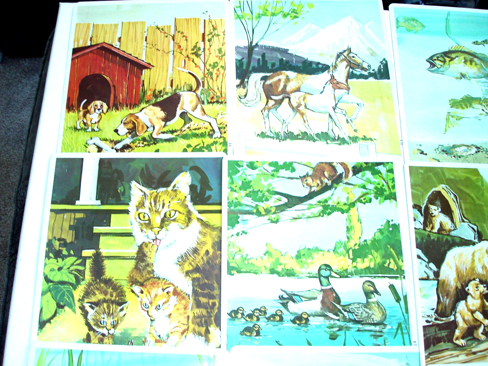 1968 Teacher’s Vintage Peek American Guidance Service Educational Picture Cards