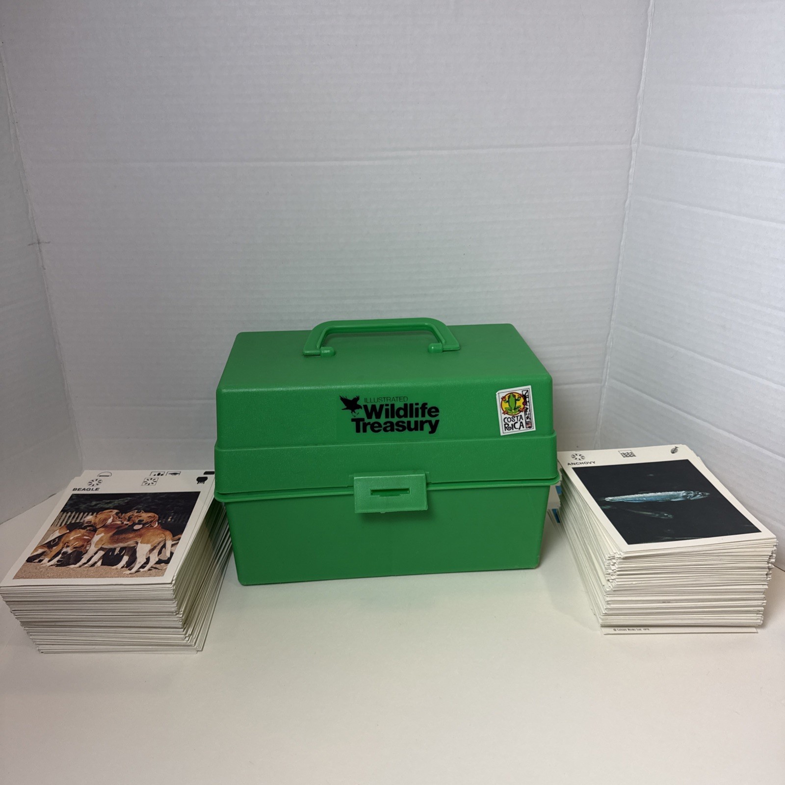 Vtg Illustrated Wildlife Treasury 465 Animal Fact Cards Dividers Case 1970s