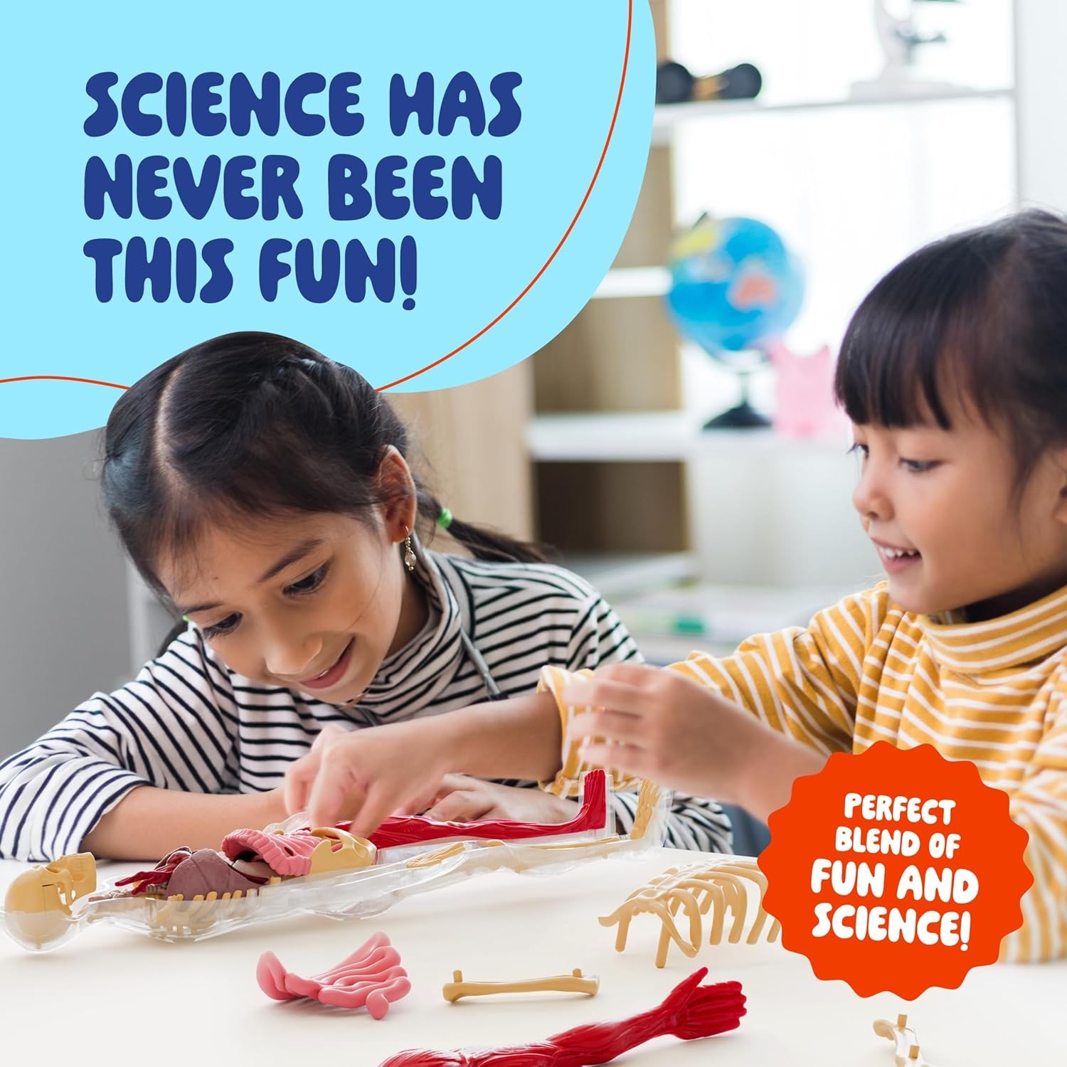 Dan&Darci Human Anatomy Squishy Body Model – Science Kits for Kids Ages 4-8 – ST