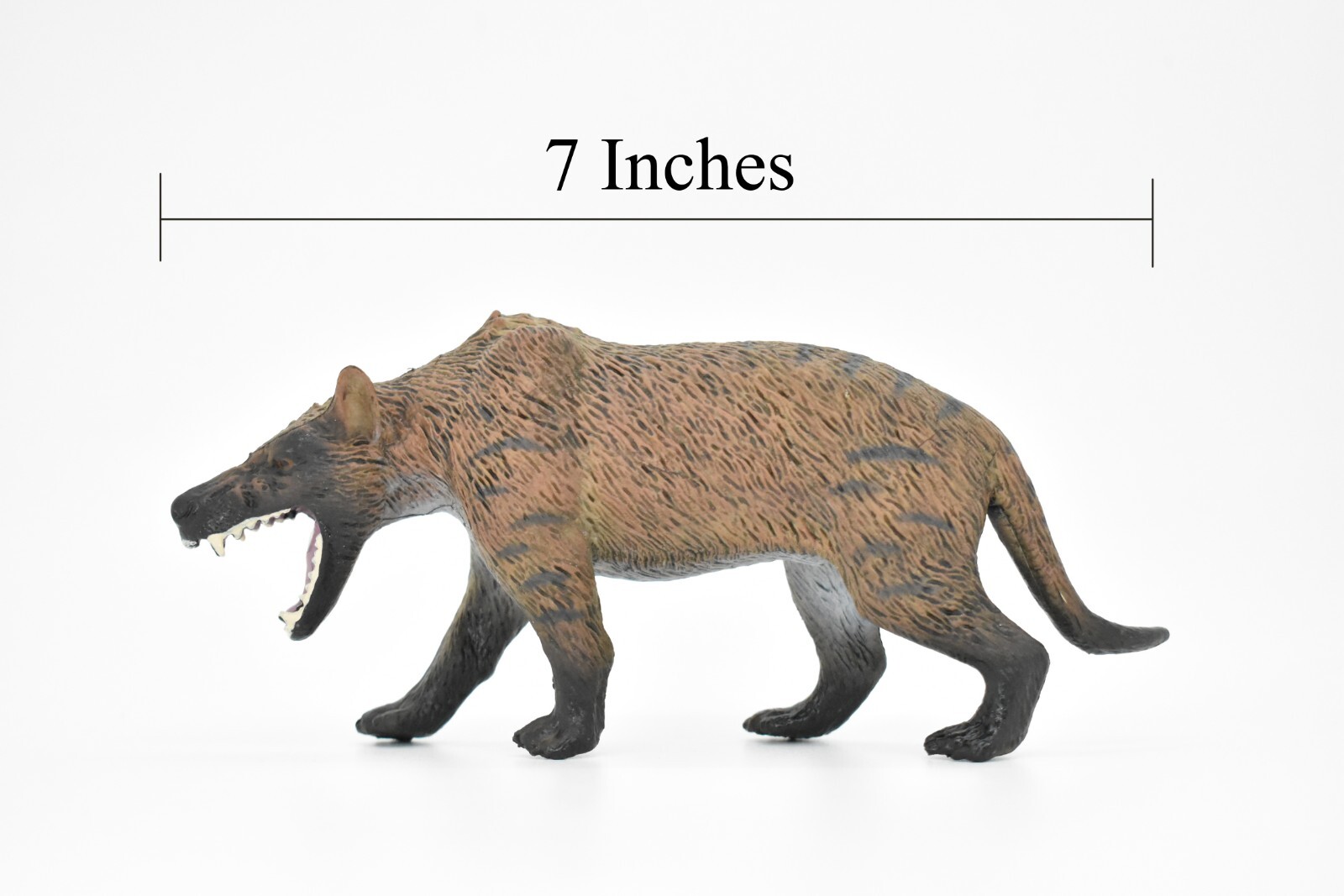 Tasmanian Tiger, Museum Quality Rubber Reproduction, Hand Painted, Figurine 7″