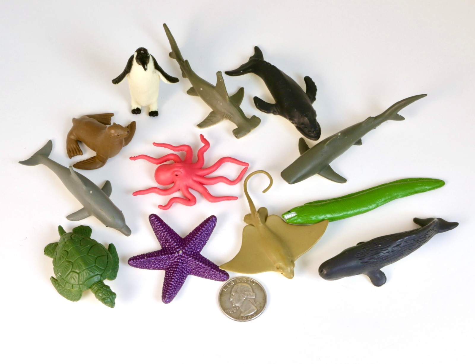 Safari Ltd. Ocean TOOB – 12 Mini Toy Figurines, Marine Ocean Life Figure Set