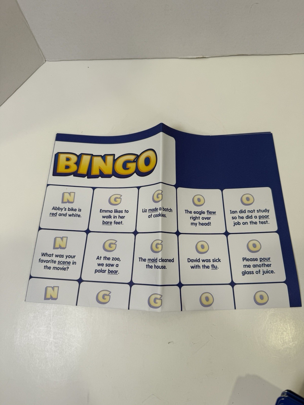 Lakeshore Homophones Bingo Level 1-Up To 36 Players- English ELA ELS JJ992