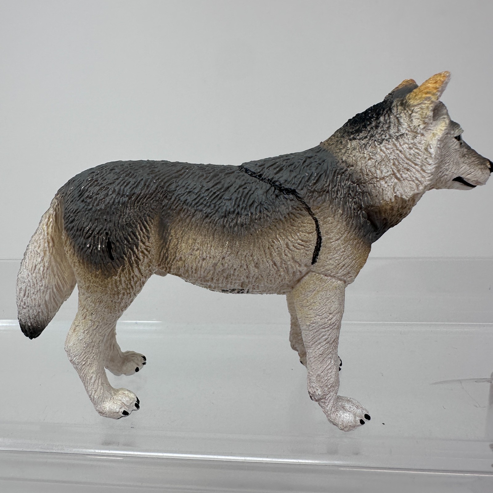 Safari Ltd Gray Wolf Figure Wild Dog Wildlife Zoo Jungle Animal Figurine 4″ 2020