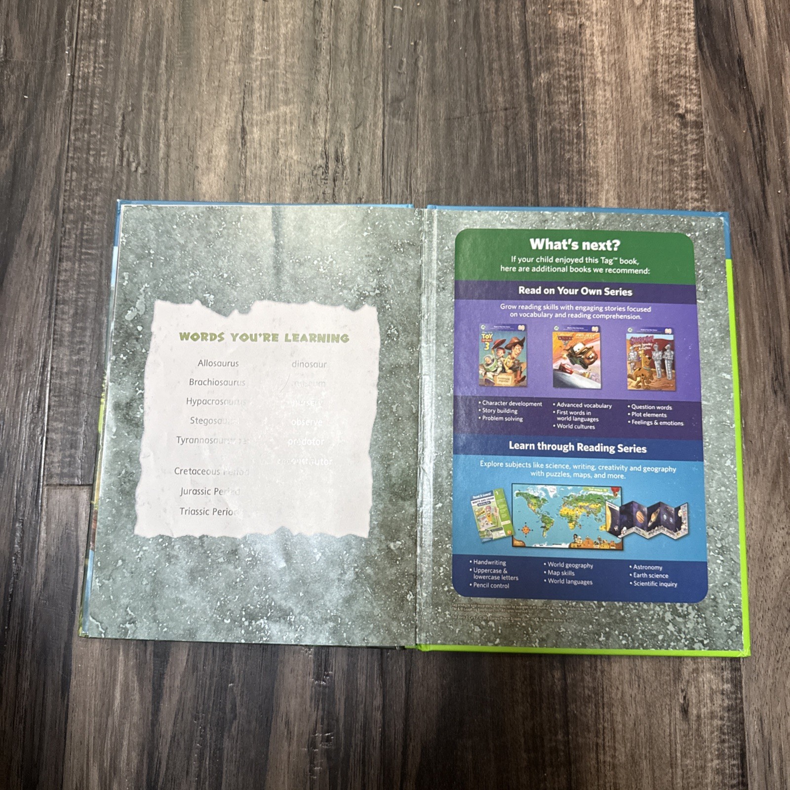 LeapFrog Tag, LeapReader book — LEAP AND THE LOST DINOSAUR🦖 (Read description.)