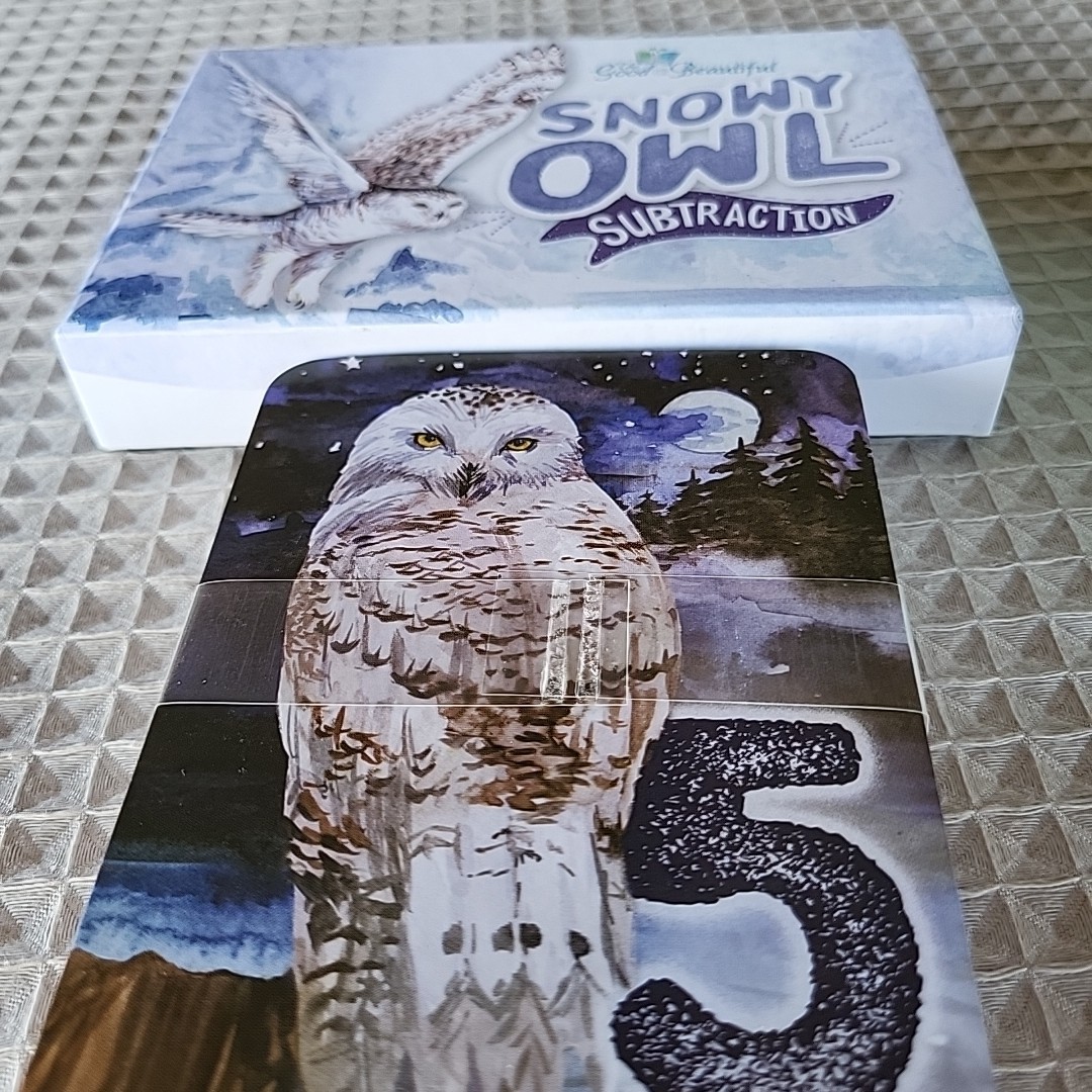 The Good and Beautiful Anteater Addition & Snowy Owl Subtraction Card Games