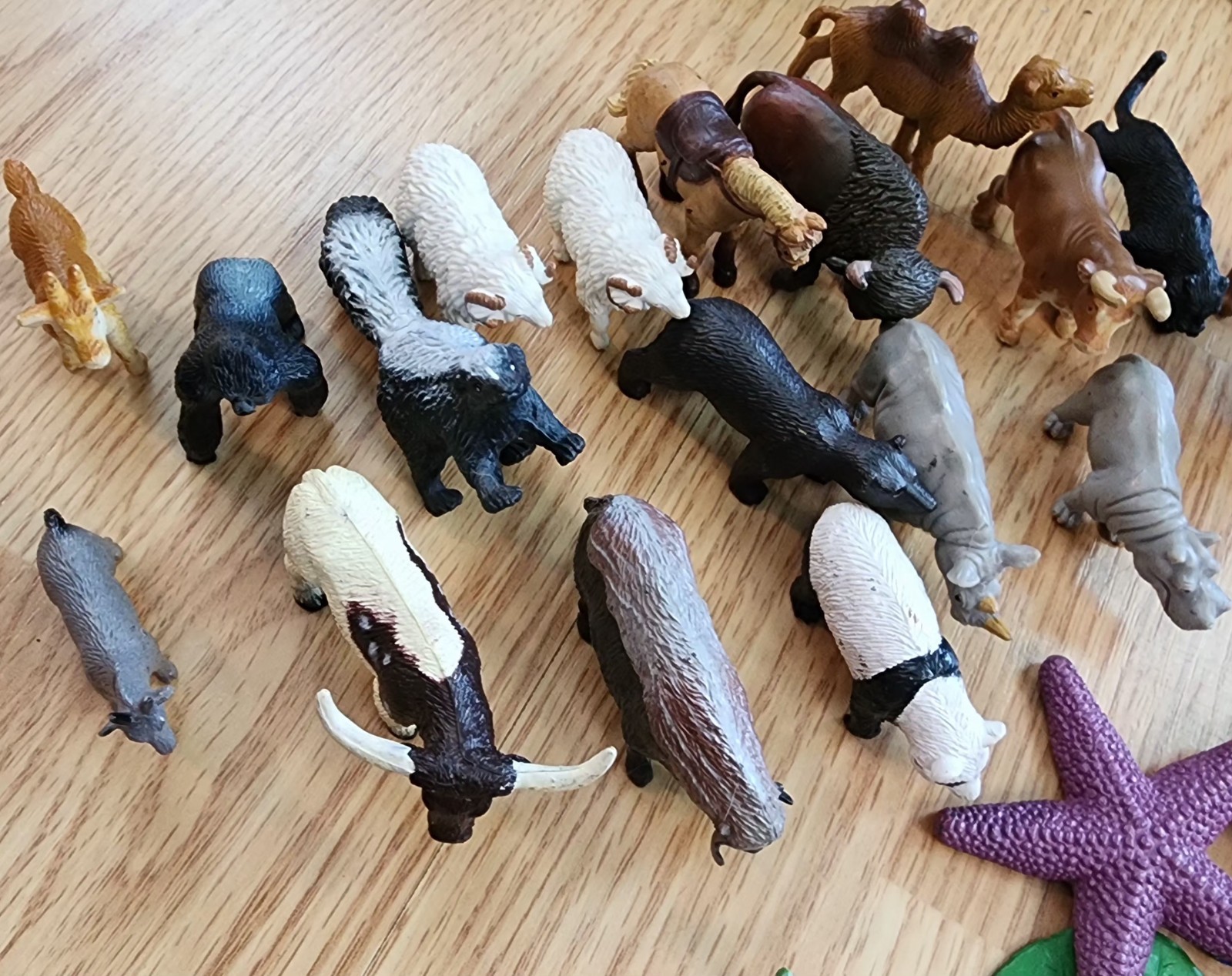 Safari Ltd TOOB Figures & Similar Animal Toy Collection Mixed Lot Of 140+