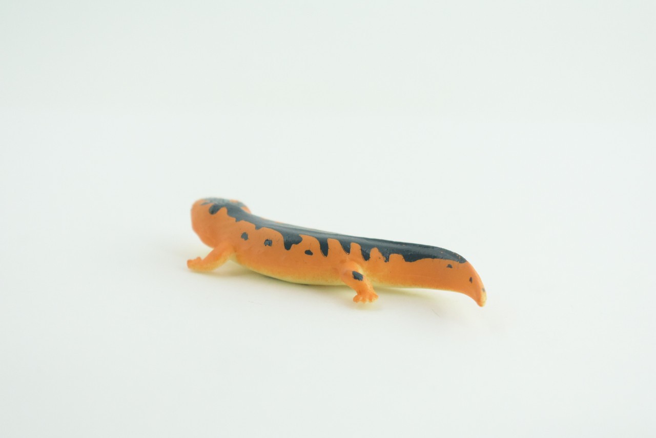 Eastern Orange Newt, Toy Lizard, Hand Painted Rubber, Realistic 2.5″ WR38 B197
