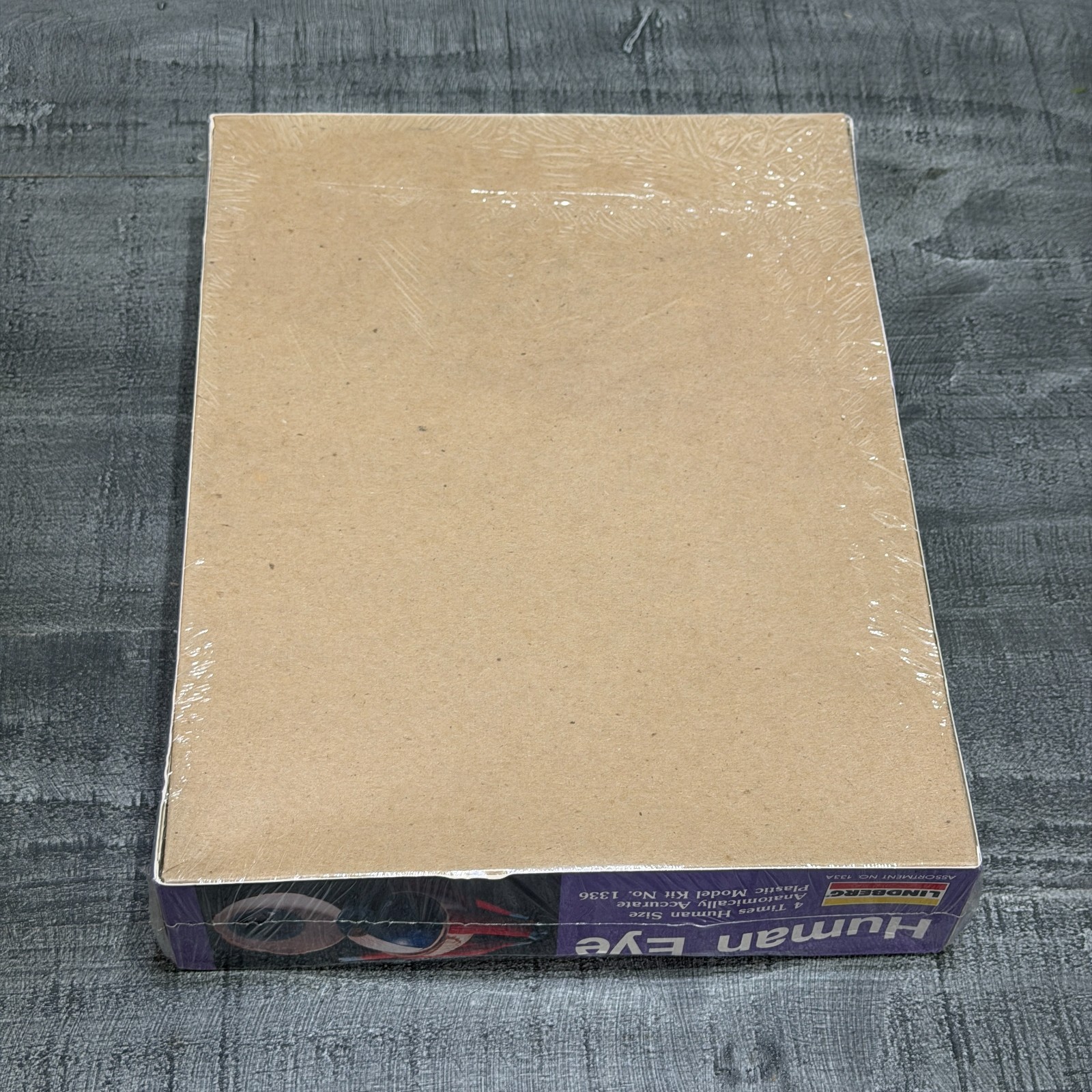New 1987 Lindberg Human Science – Human Eye Unassembled Plastic Kit – NEW/SEALED