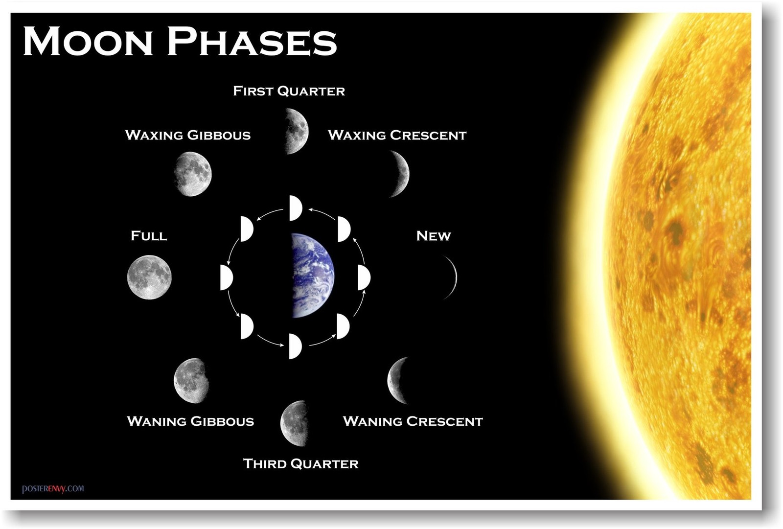 Moon Phases – Classroom Science Poster