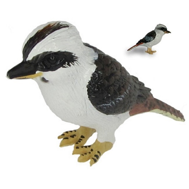 9 Australian Birds: Kiwi, Blue Wren, Cockatoo, Lorikeet, Emu, Kakapo, Kakariki