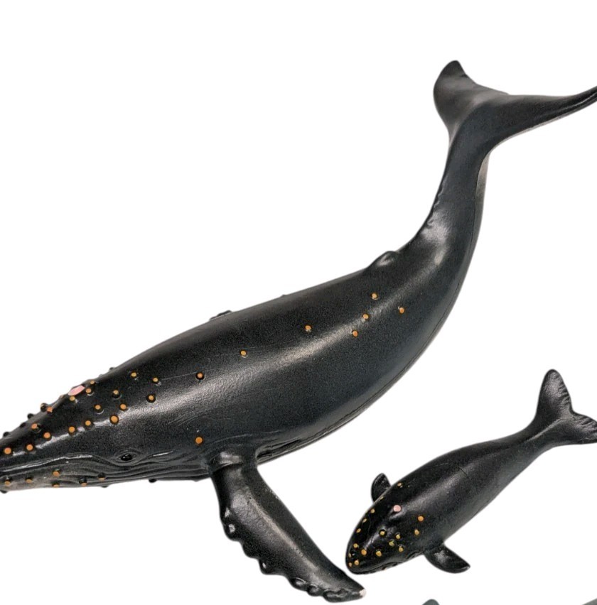Vintage Whales Of The World 6 Whales w/ Babies 1990 Hard Rubber Toys, Zoobook