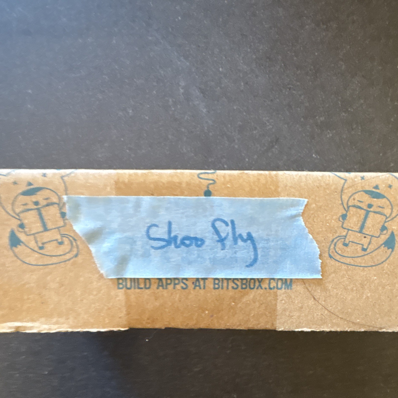 Bitsbox Shoo Fly Electronic Learning System Educational Kit in Bitsbox Box
