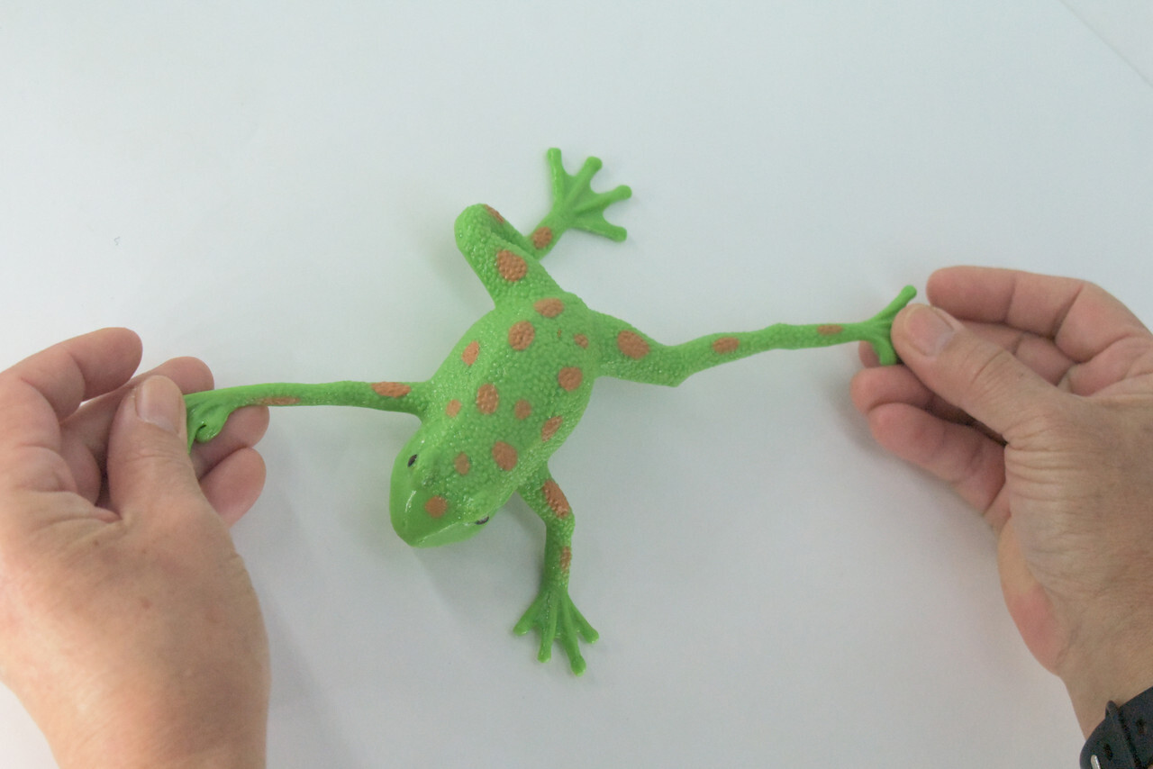 Frog Toy Stretchable, Squishy, Squeezable Soft Rubber, Green, Gift, 6″ US02 B59
