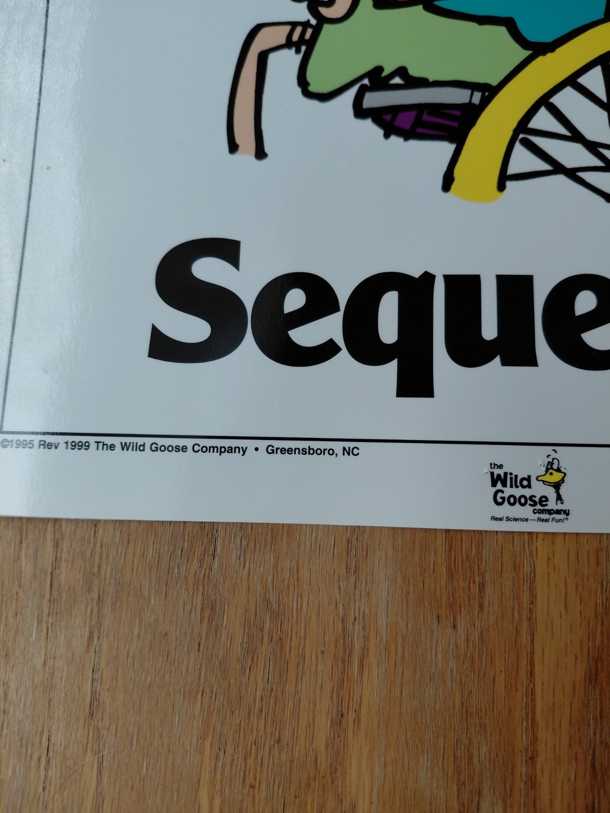1995 Science Classroom 10 total Poster Set Used by Wild Goose Company 11 x 17