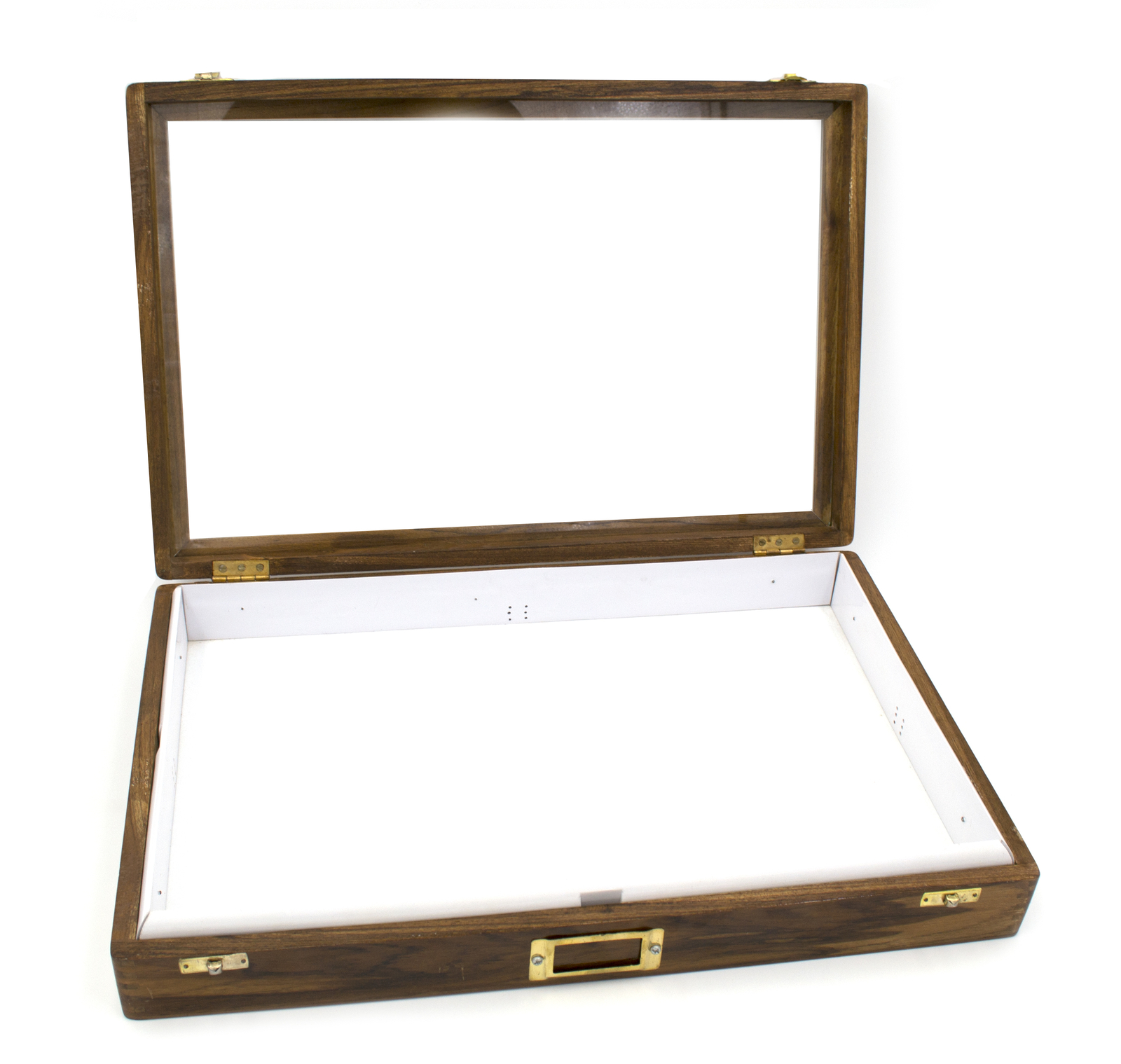 Insect Storage Box – Polished Wood- Eisco Labs