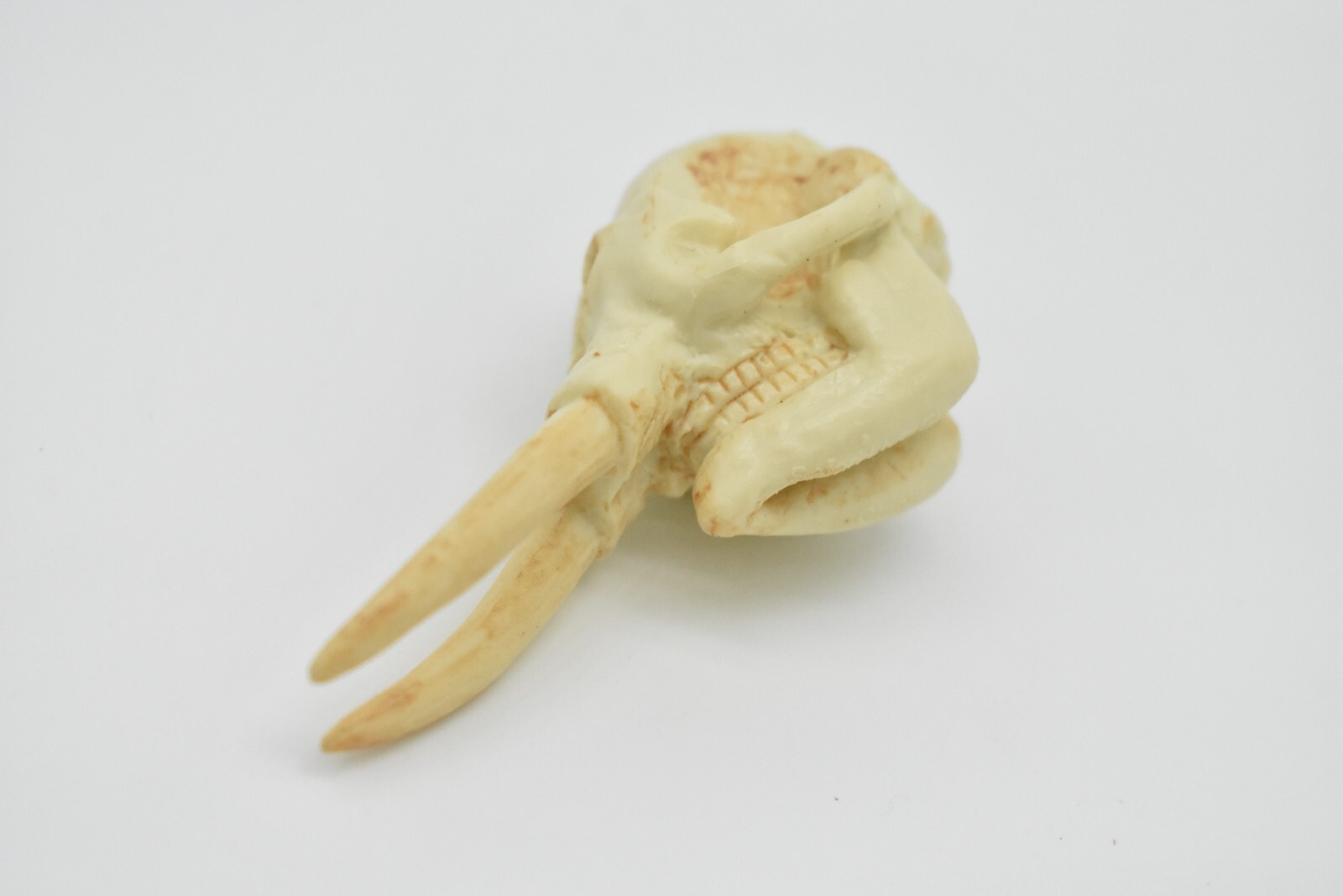 Elephant Skull, Very Nice Plastic Reproduction 2 1/2 inches long F4120 B193
