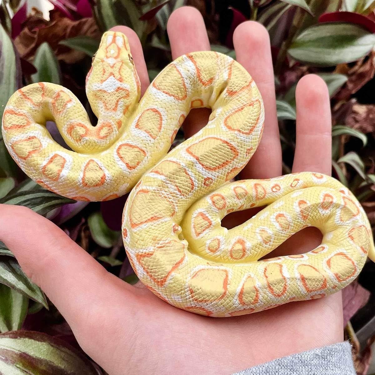Albino Burmese Python Figurine – Lifelike 5.5″ Snake Figure Kids Educational Toy