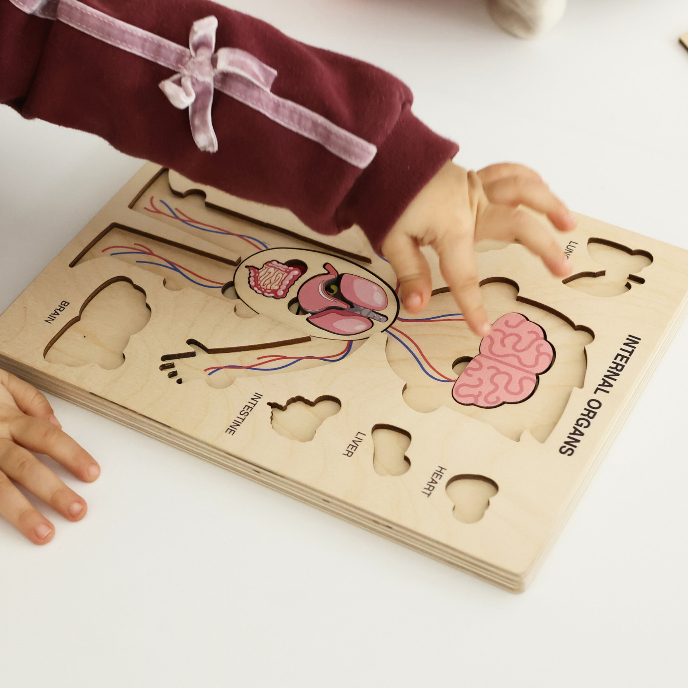 Montessori Wooden Human Body Puzzle – Organs & Stand, STEM Educational (Ages 3+)