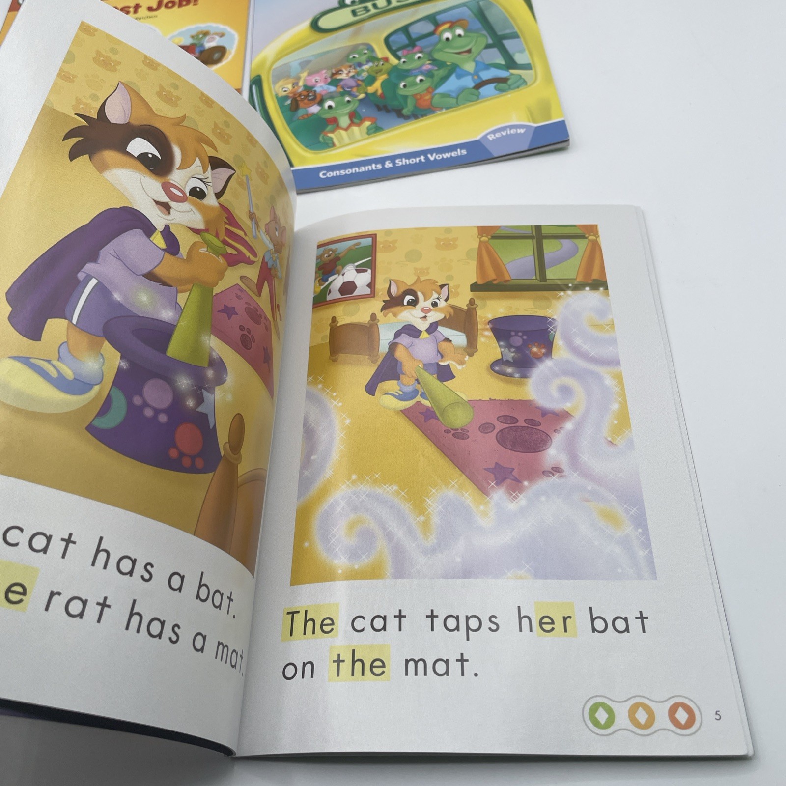 Leap Frog Learn With Leap 10 DVD Set With 6 Books Leaped Reader Pen w USB READ