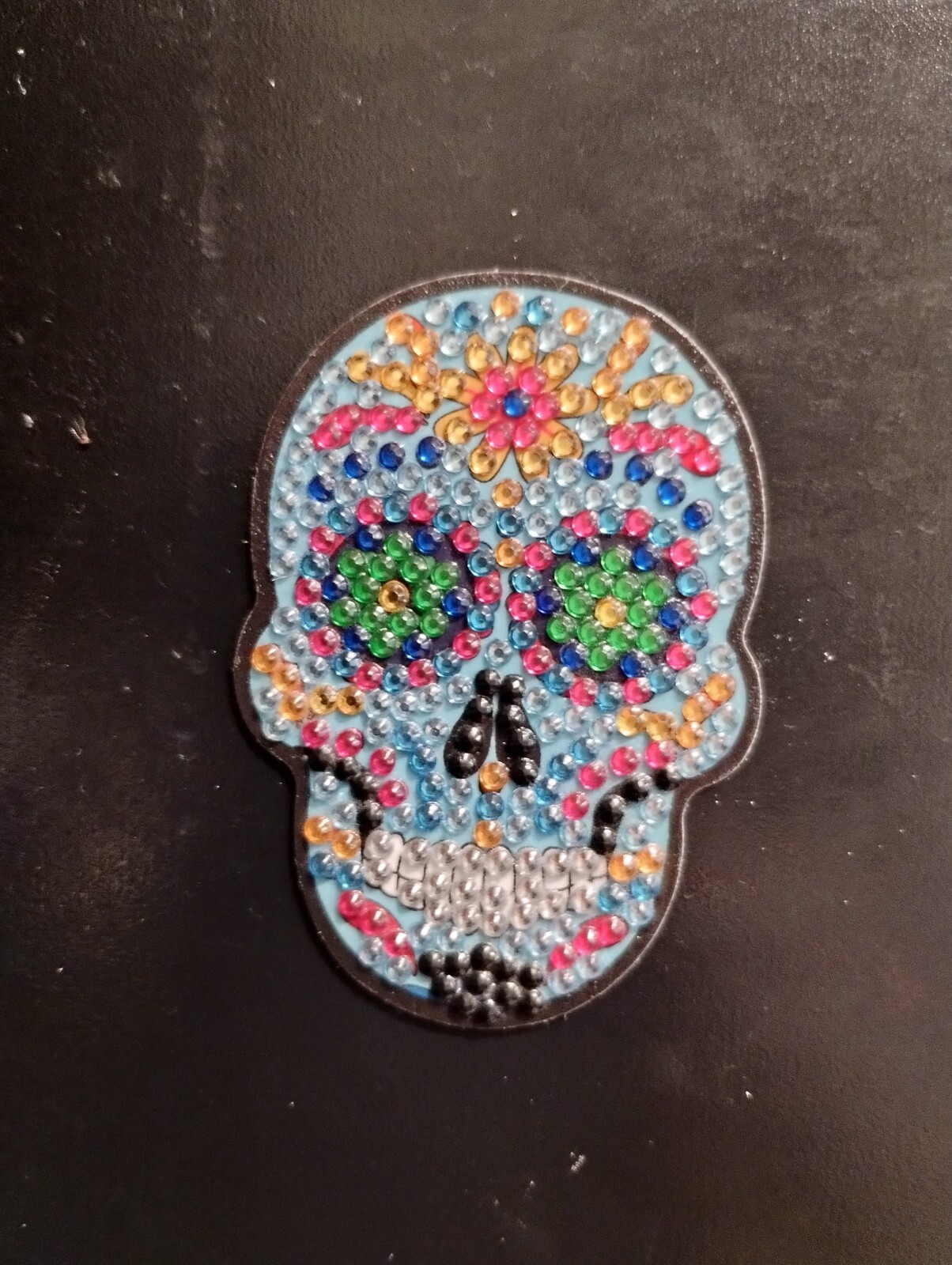 Sensory Magnets sugar skulls autism spd