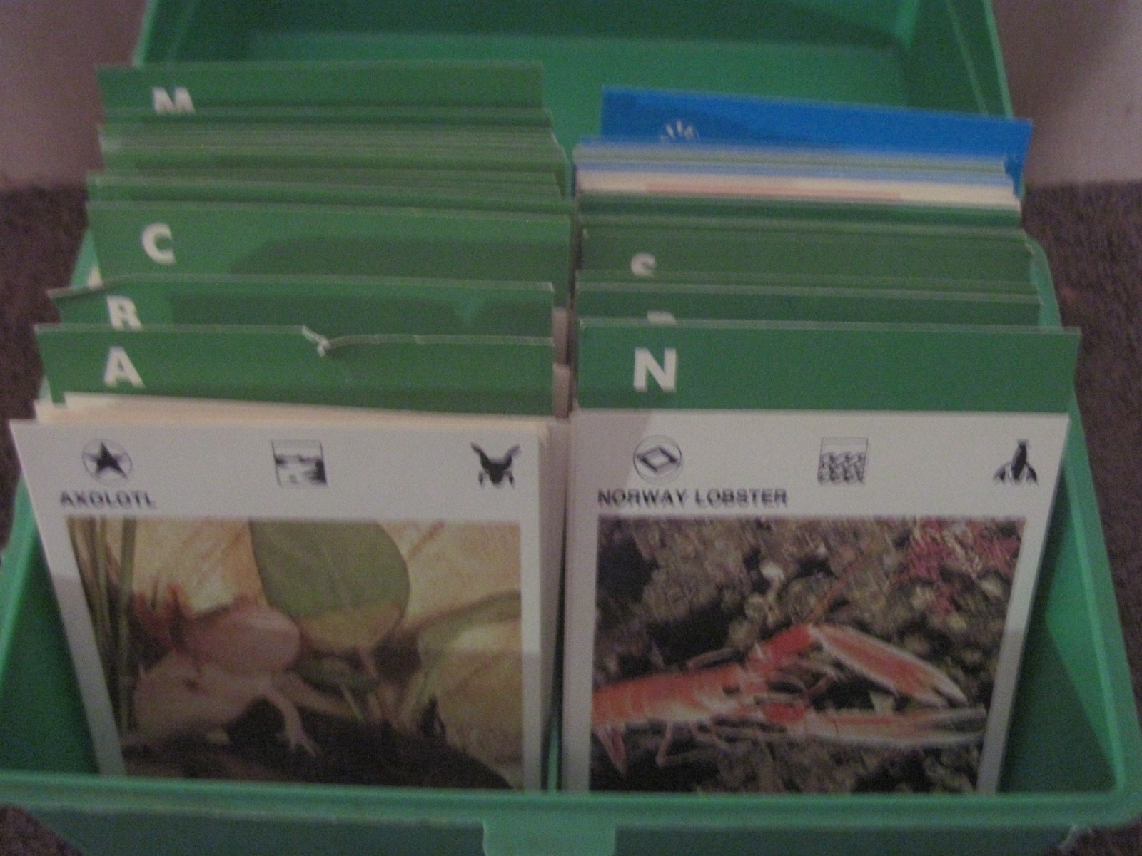 1970’s Illustrated Wildlife Treasury Animal Fact Cards & Carrying Case 400+ card