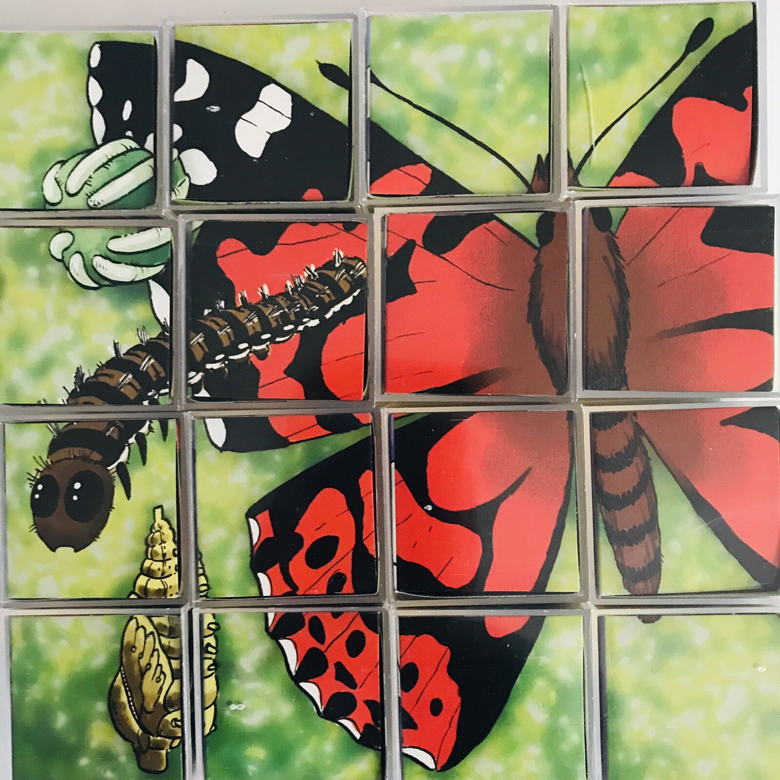 6 Bug Puzzles Insect Lore 16 Plastic Six-Sided Cubes with Instructions