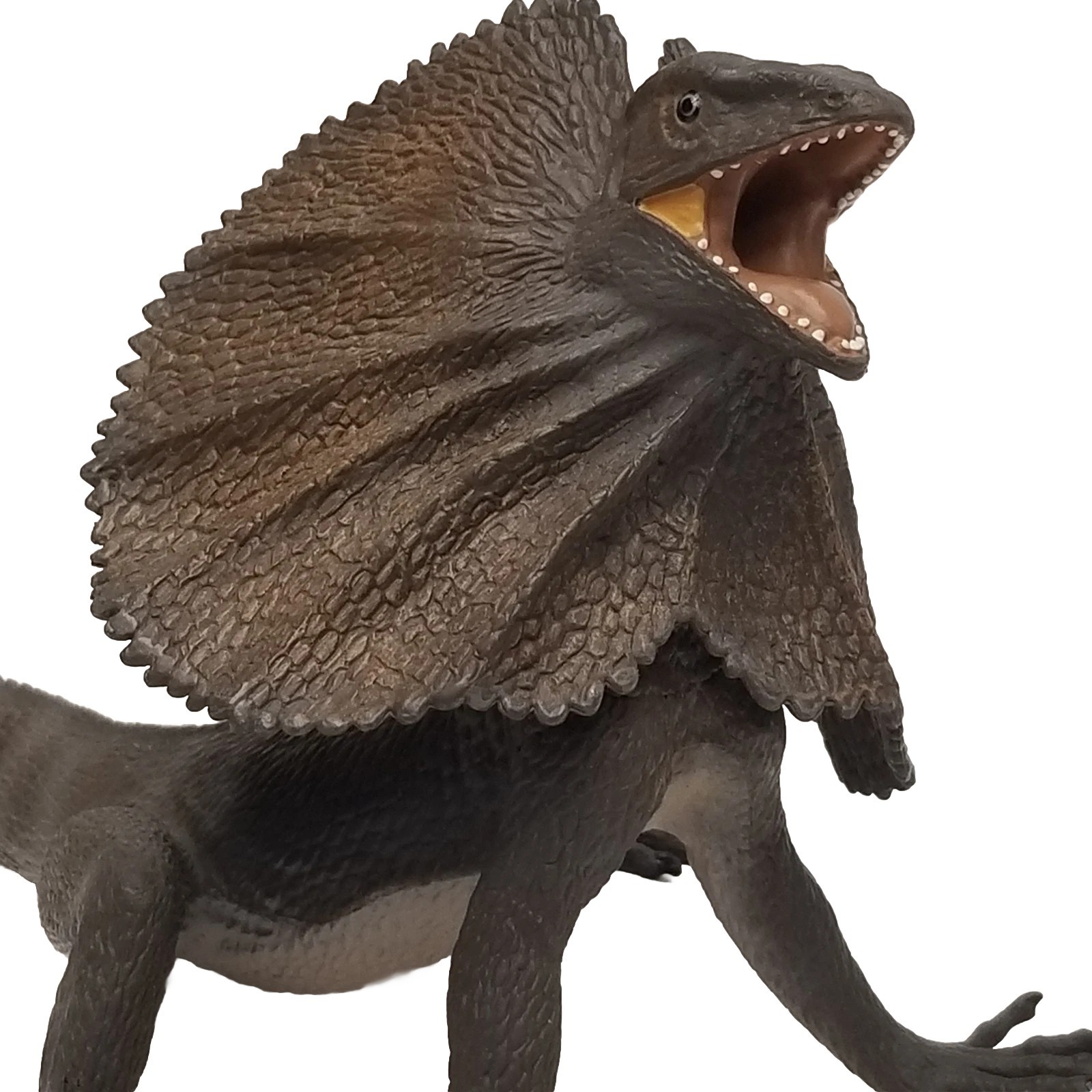Safari Ltd Frilled Lizard Figure Gray Wildlife Zoo Animal Figurine 10 inch 2005