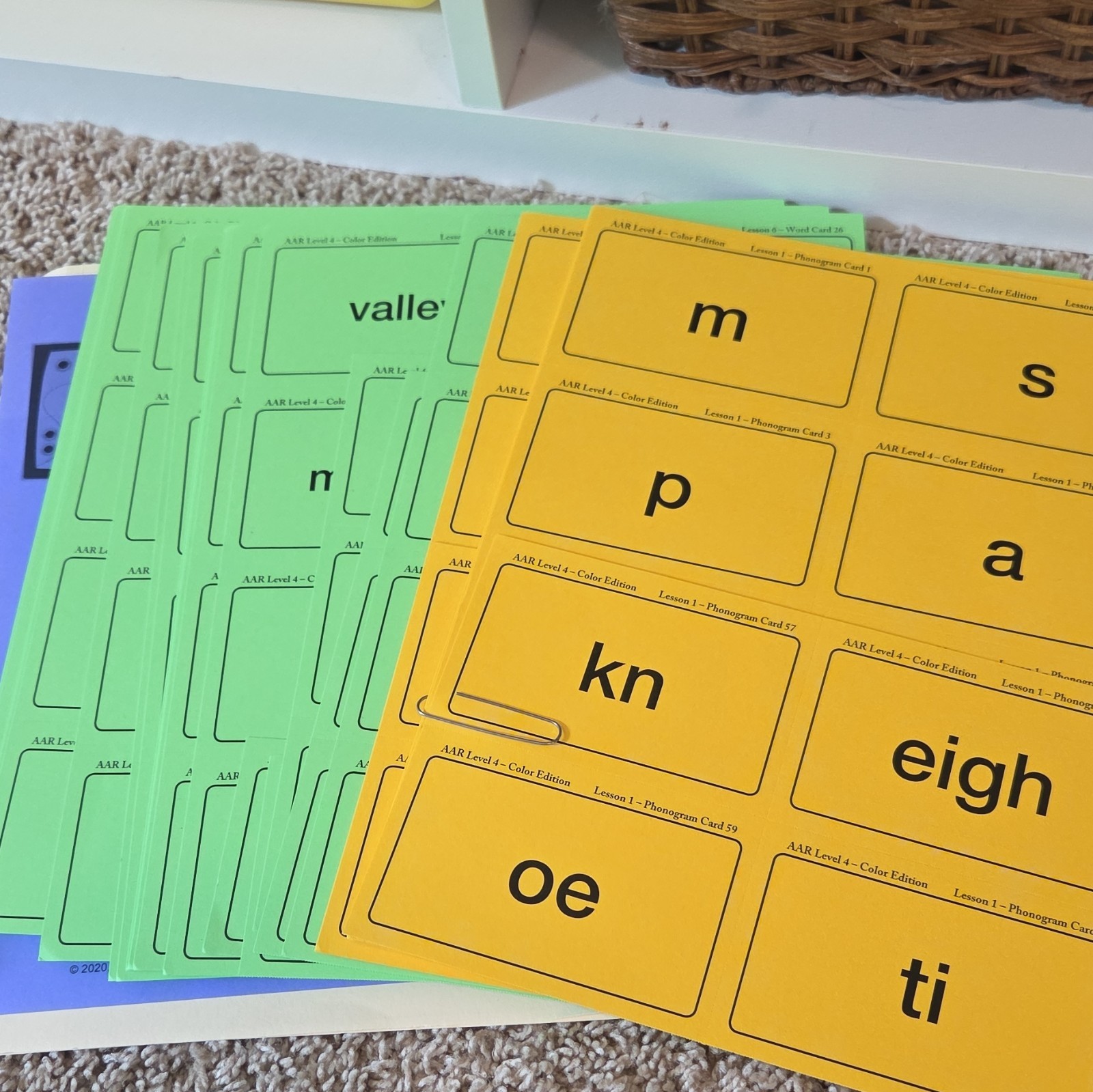 All About Reading Level 4 Teacher’s Manual Color Edition Set, Multicolor (2020)