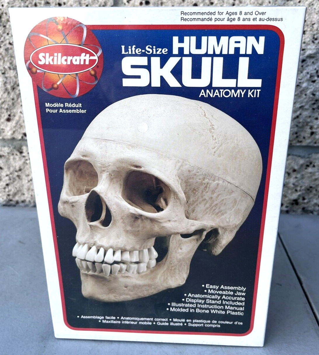 NEW 1996 Vintage Skilcraft Life-Size Human Skull Anatomy Model Kit No. 74625