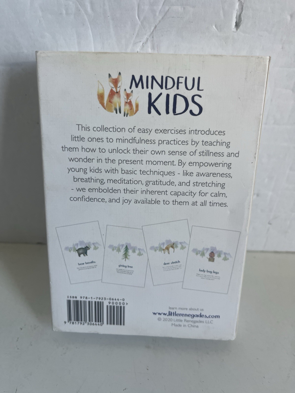 Little Renegades Mindful Kids Cards Ages 3+ Eveyday Exercises of Mindfulness