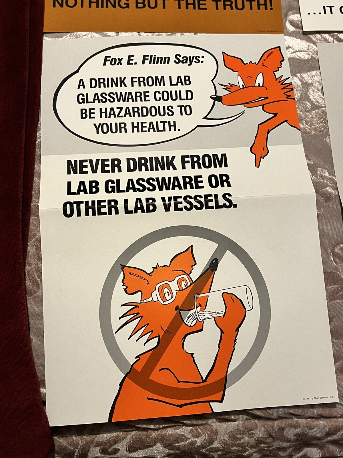 Vintage FOX E FLINN Safety Posters Educational Memorabilia Water Battery X2